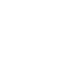 puzzle-icon